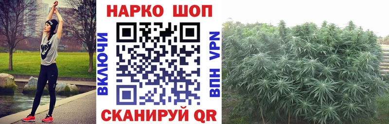 Конопля Барнаул