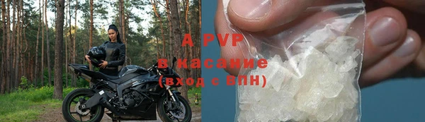 PSILOCYBIN Горнозаводск