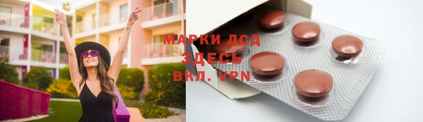 PSILOCYBIN Горнозаводск