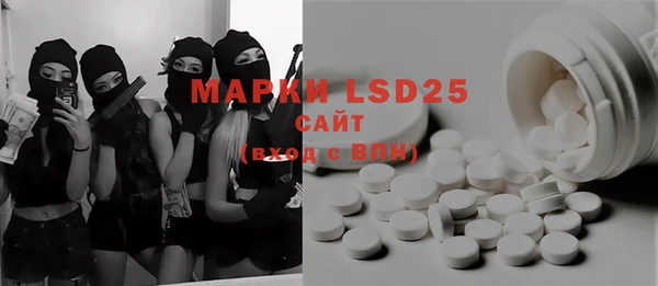 PSILOCYBIN Горнозаводск