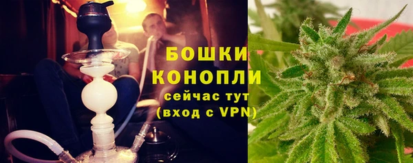 PSILOCYBIN Горнозаводск