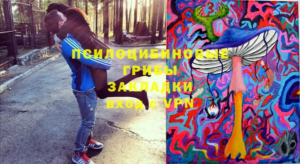 PSILOCYBIN Горнозаводск