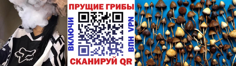 OMG ONION  купить наркоту  Барнаул  Галлюциногенные грибы MAGIC MUSHROOMS 